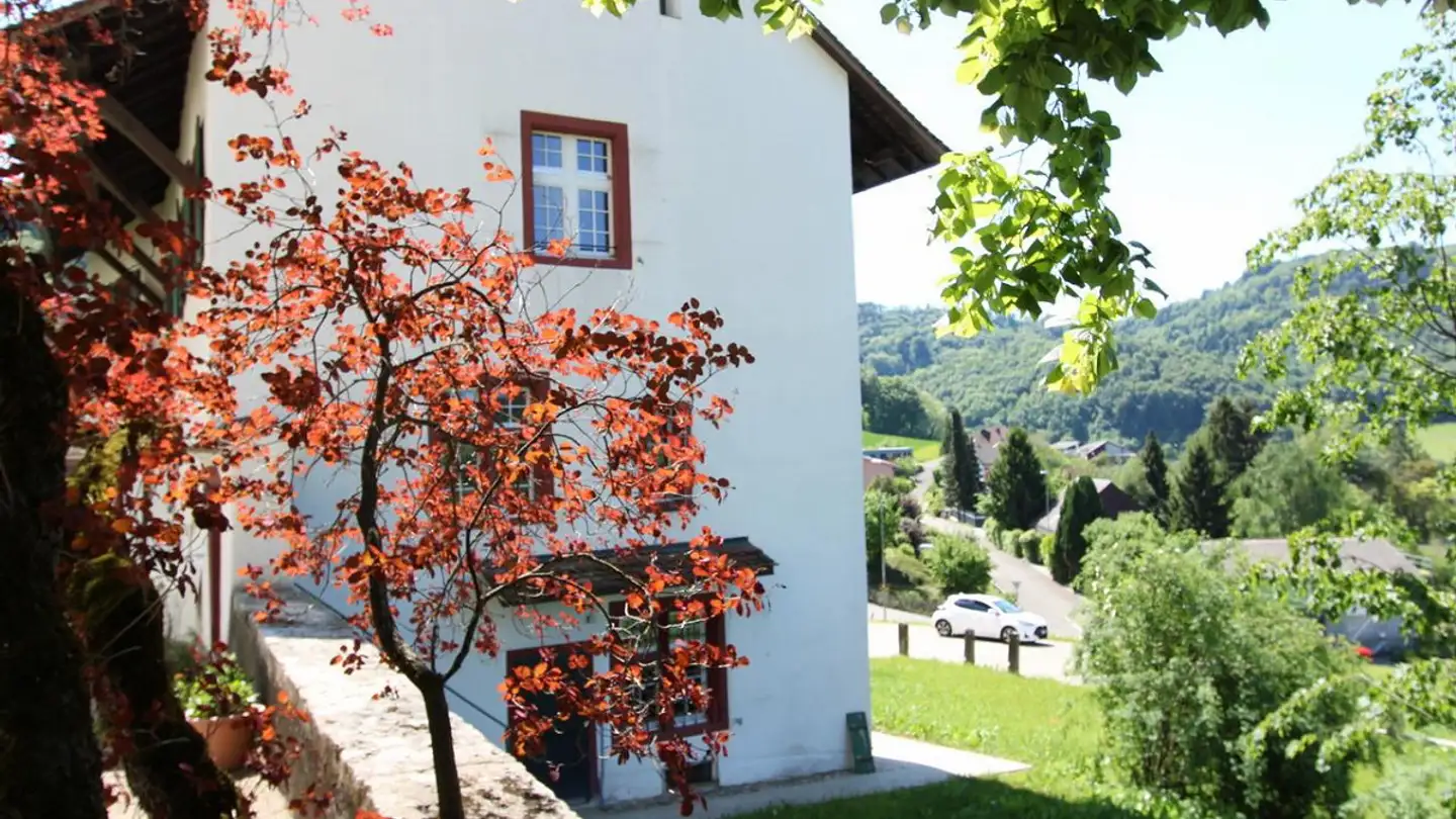Duplex à louer - Ramsachstrasse 39, 4448 Läufelfingen - Photo 3