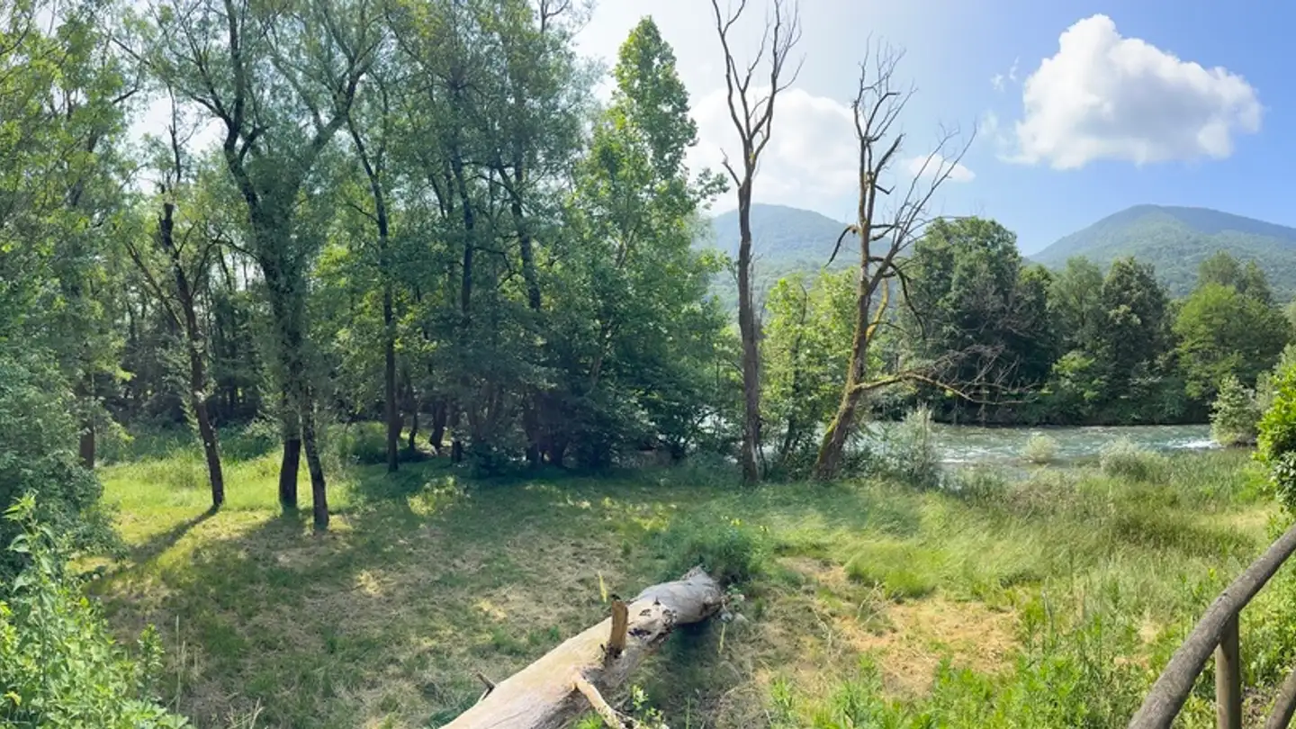 Casa singola in vendita - Via Monteggio, 6998 Monteggio - Photo 4