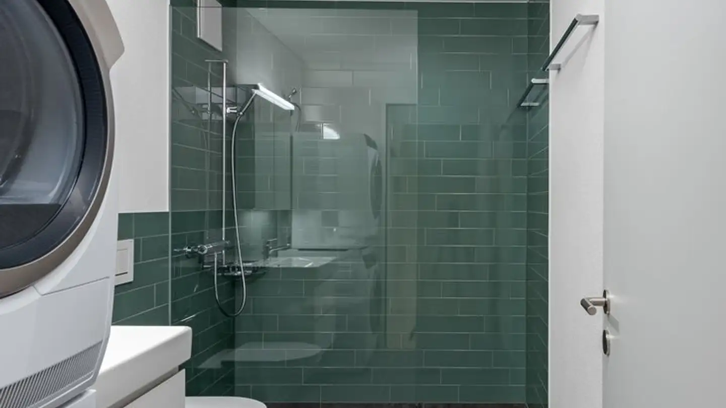 Appartamento in affitto - Langgrütstrasse 102, 8047 Zürich