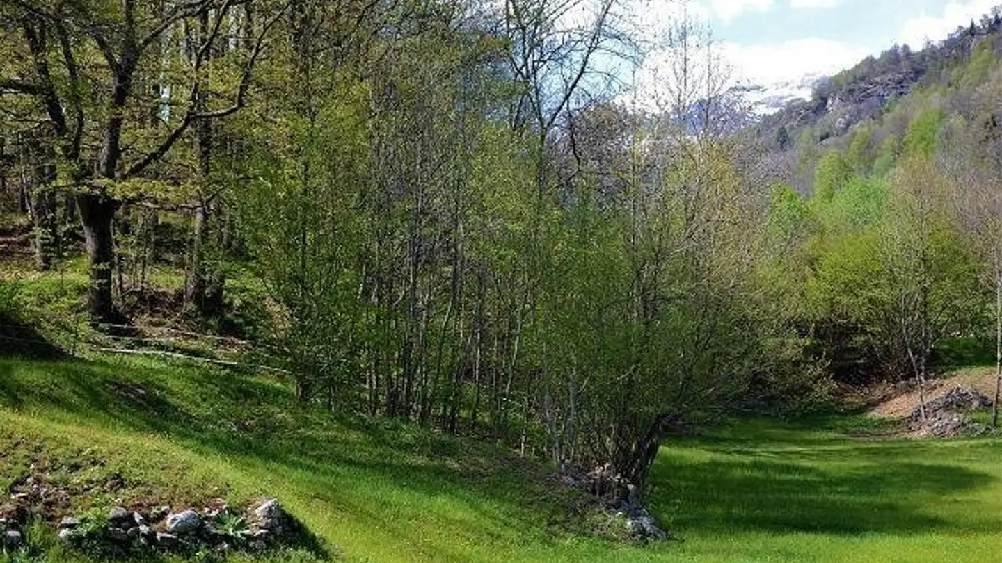 Constructible plot for sale - 6746 Calonico - Photo 2