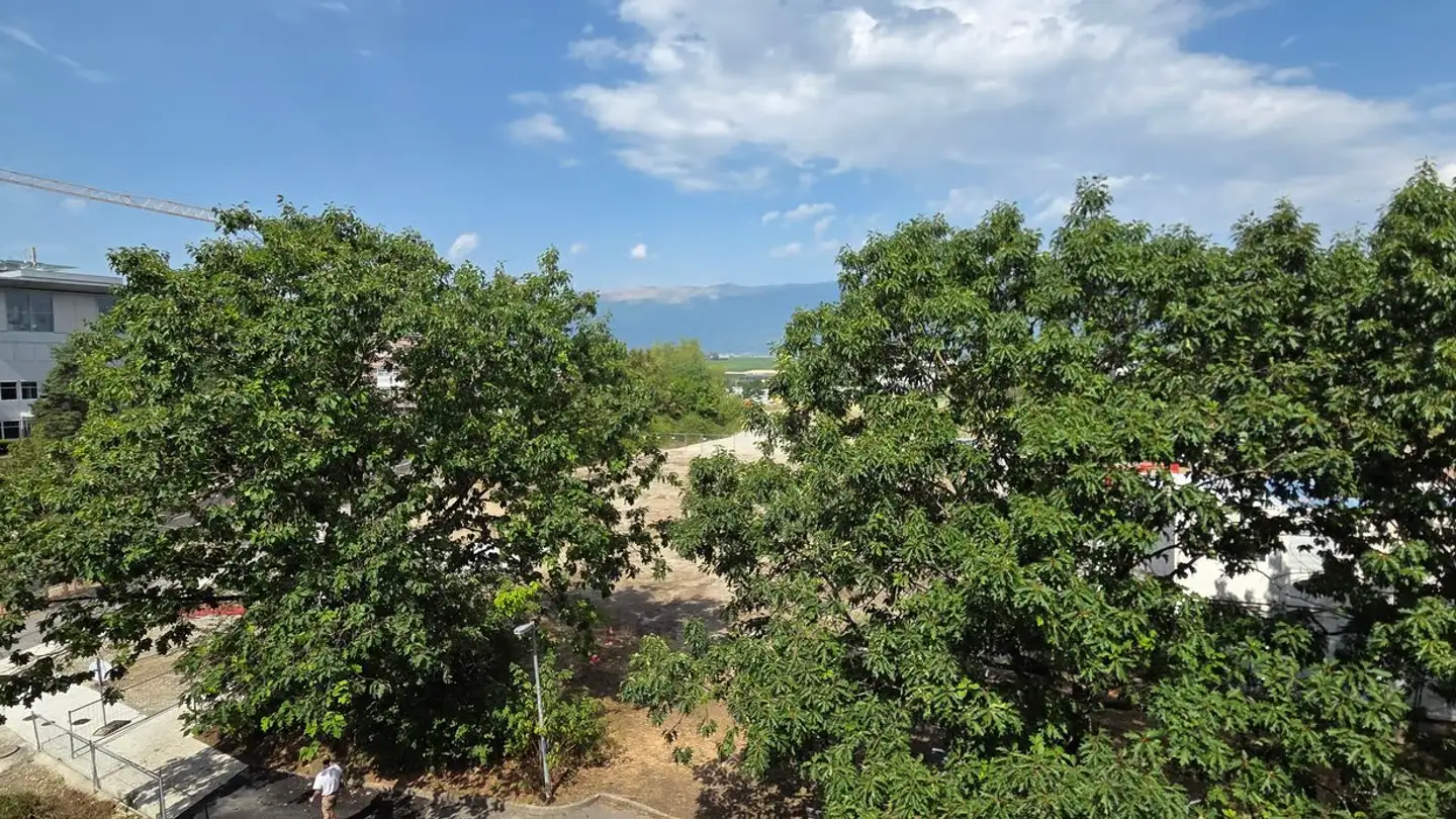 Appartement à vendre - Rue Virginio- Malnati, 1217 Meyrin