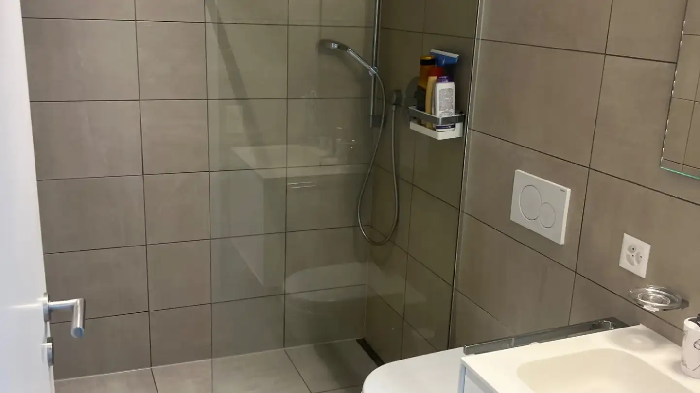 Appartamento in affitto - Via San Gottardo, 6593 Cadenazzo - Foto 4