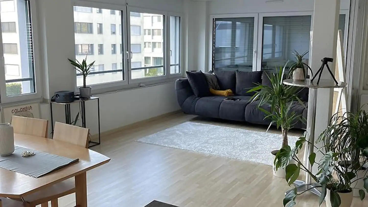 Furnished apartment for rent - 8052 Zürich