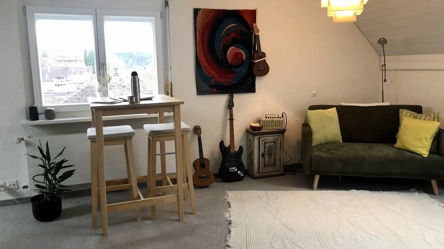 Appartamento in affitto - 8400 Winterthur