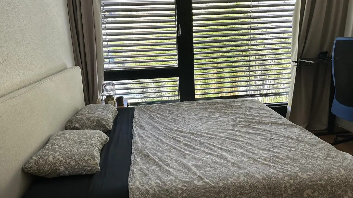 Single room for rent - 8952 Schlieren