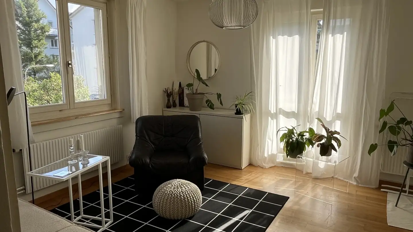 Chambre à louer - Magdalenenstrasse 45, 8050 Zürich