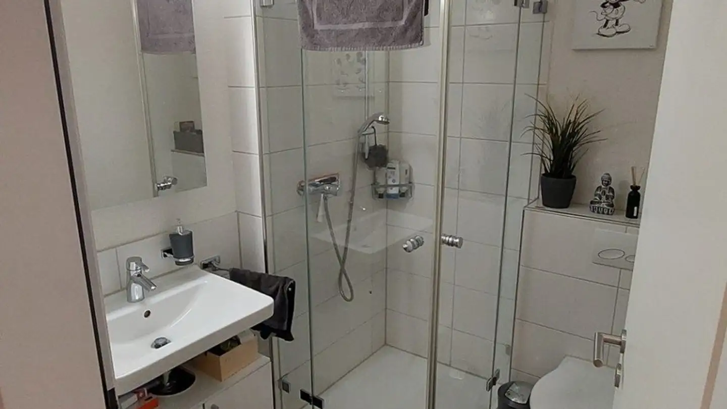 Apartment for rent - 8155 Niederhasli - Photo 2