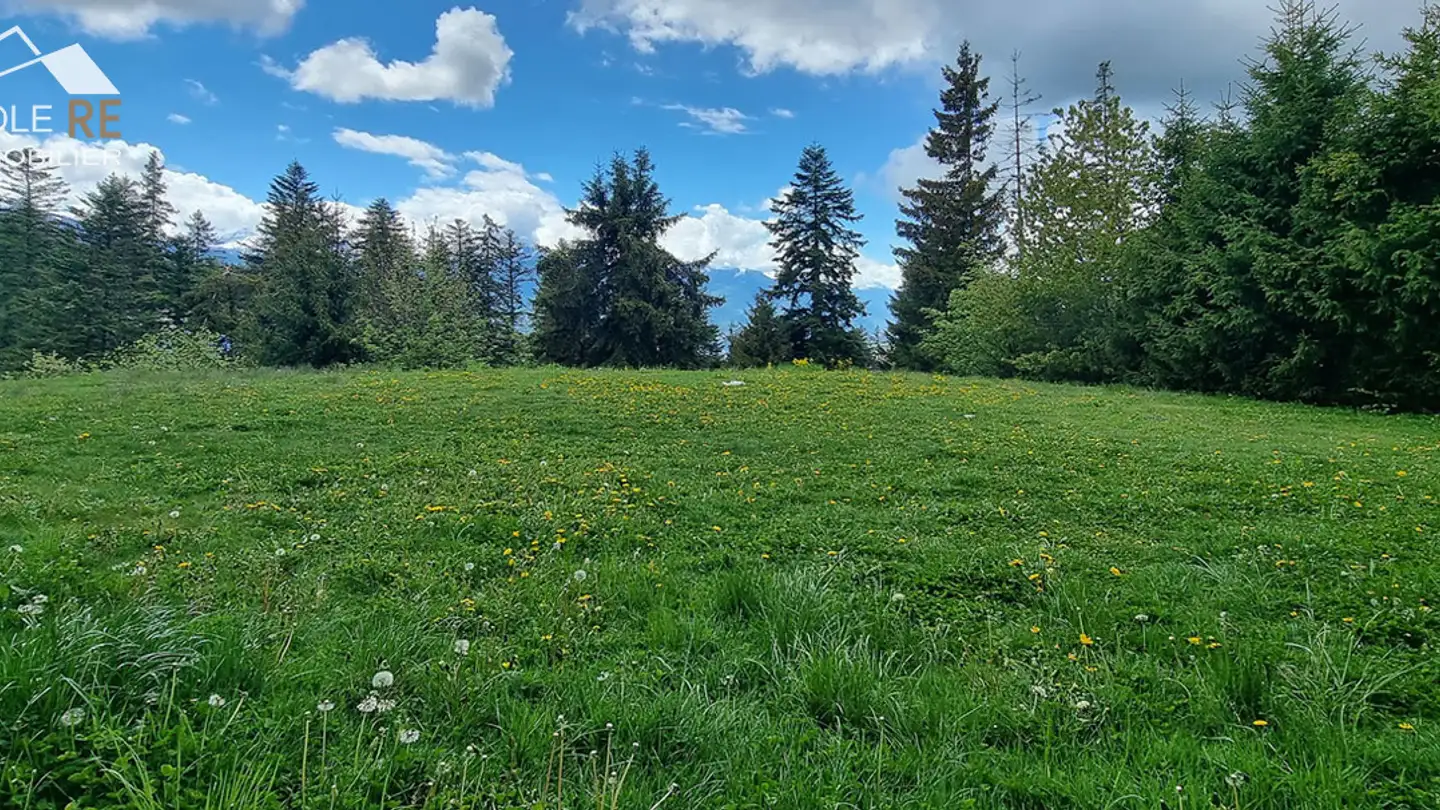 Appartement à vendre - Rue Du Pas De L'ours, 3963 Crans-Montana - Photo 3
