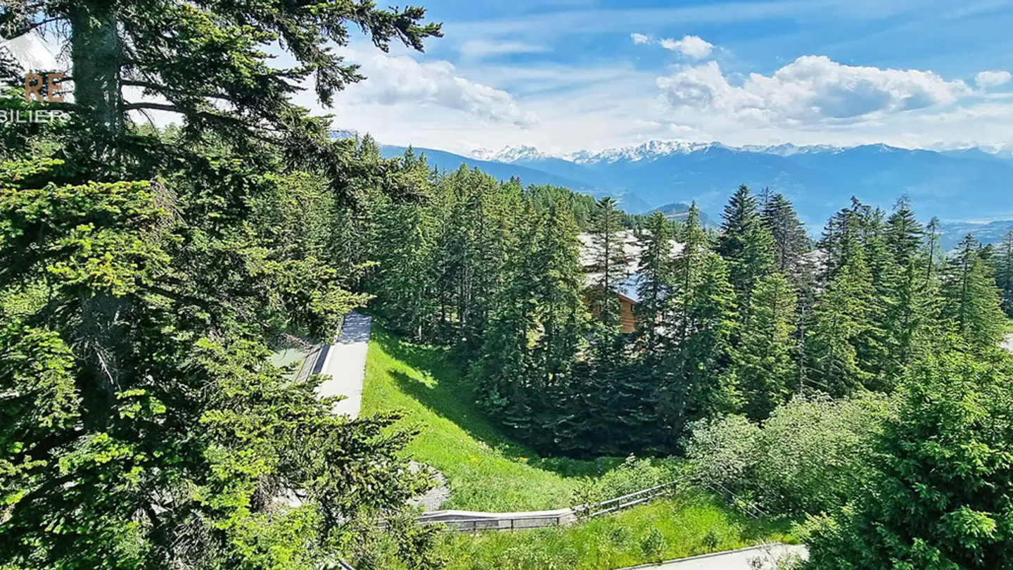 Wohnung kaufen - Rue Du Pas De L'ours, 3963 Crans-Montana - Foto 3
