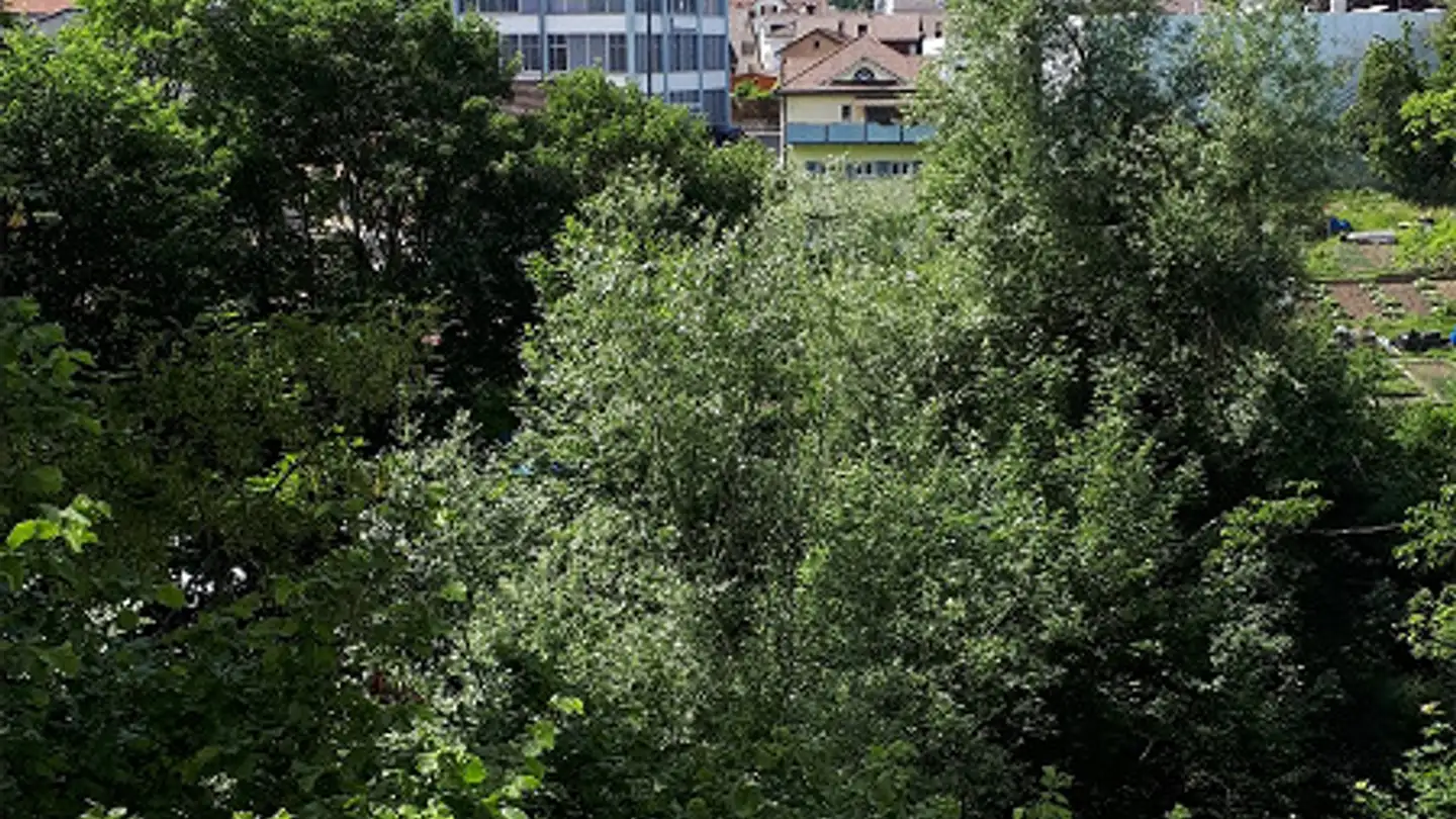 Appartamento in affitto - St. Gallerstrasse 77, 9230 Flawil - Photo 2