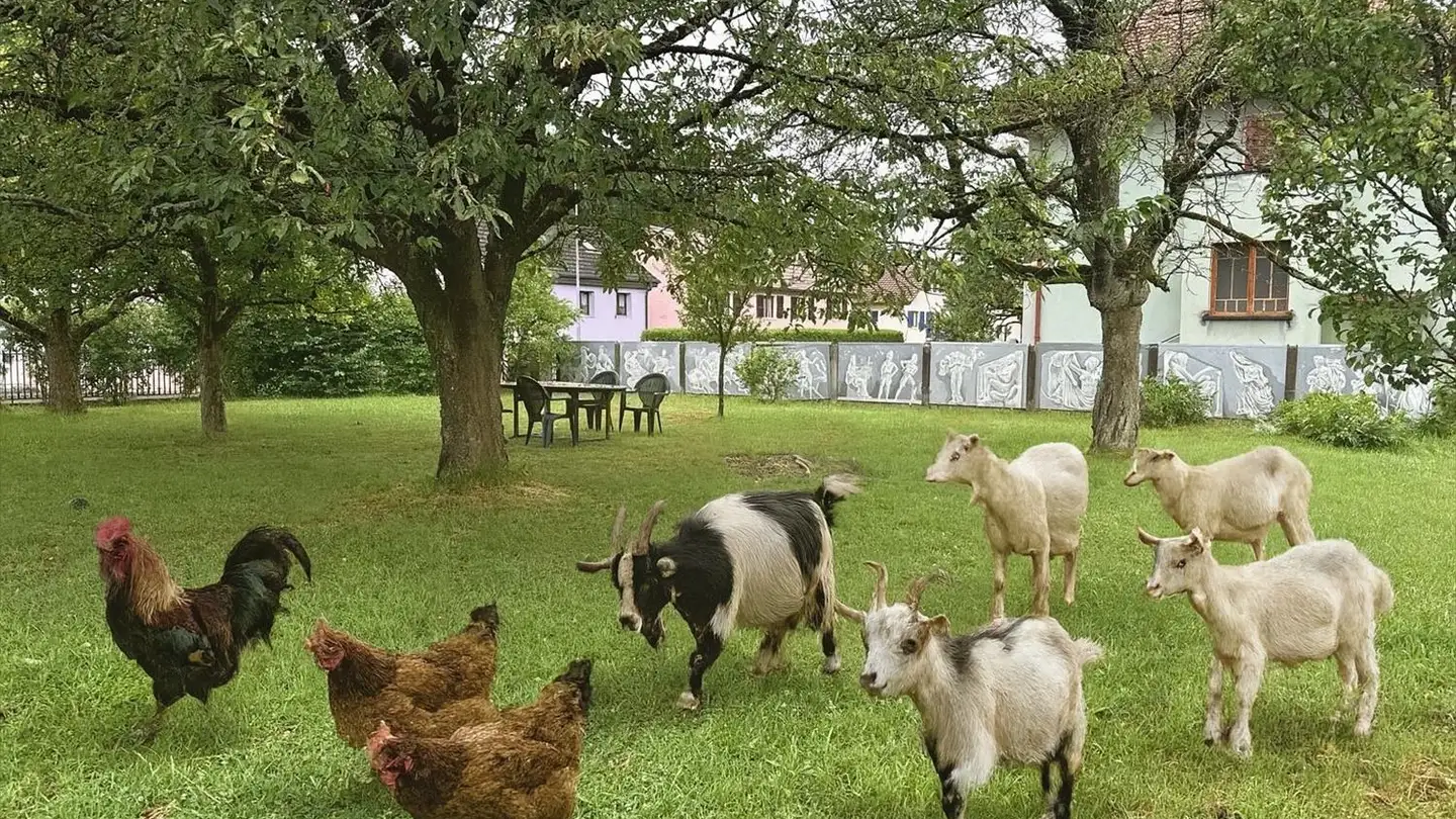 Villa in vendita - Route D'alle 15, 2943 Vendlincourt - Foto 2