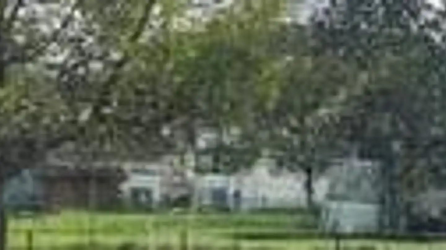 Terreno edificabile in vendita - Oberauweg, 9476 Weite - Photo 4