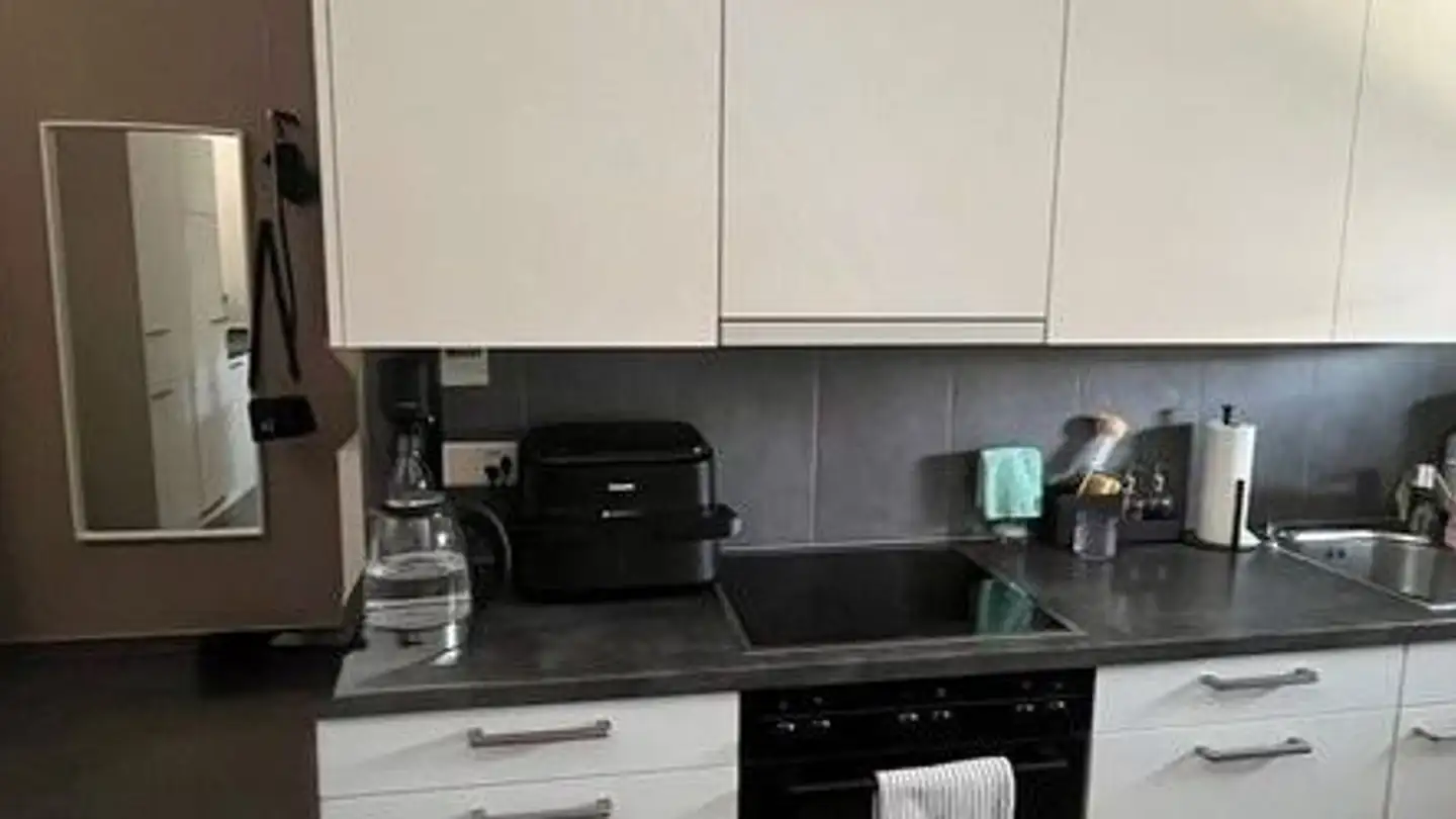 Appartement à louer - Schaffhauserstrasse 475, 8052 Zürich - Photo 2