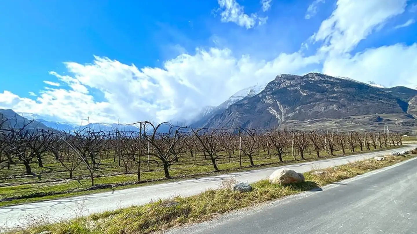 Wohnung kaufen - 1908 Riddes - Foto 3