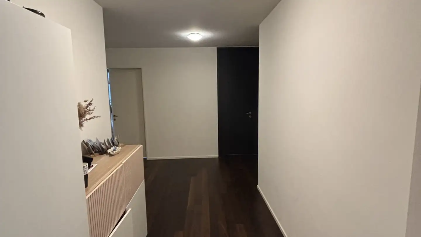 Apartment for rent - Pfingstweidstrasse 104d, 8005 Zürich - Photo 4