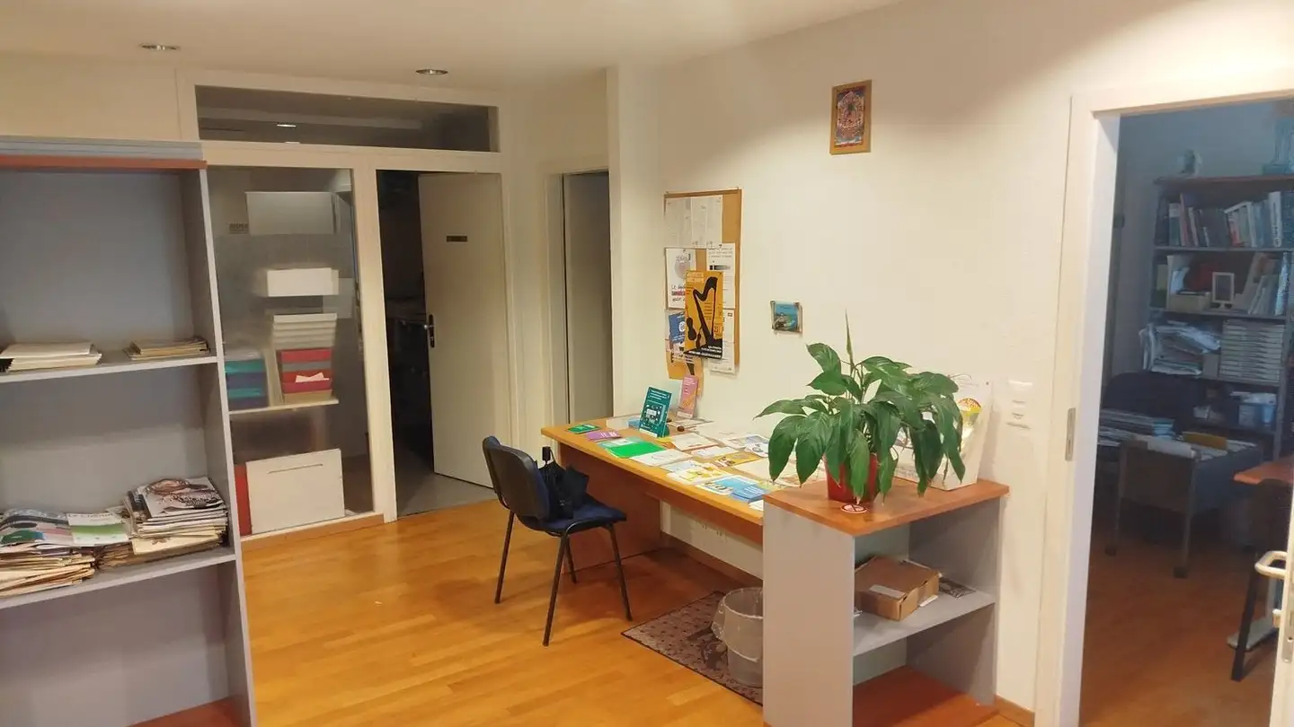 Office space for sale - Rue De Genève 8, 1225 Chêne-Bourg - Photo 2