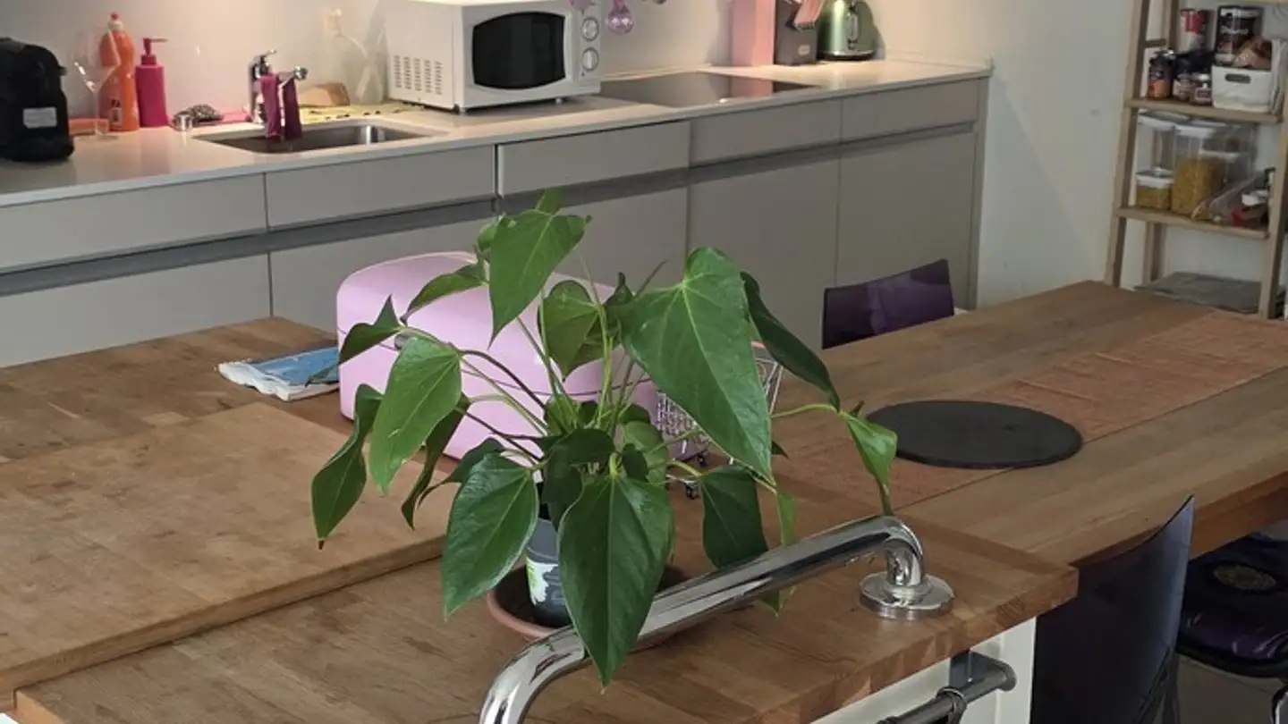 Appartamento in affitto - Dorfstrasse 3, 8303 Bassersdorf - Foto 3
