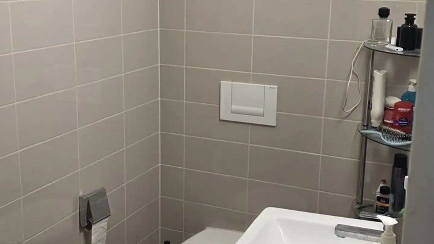 Appartamento in affitto - Dorfstrasse 3, 8303 Bassersdorf - Foto 4