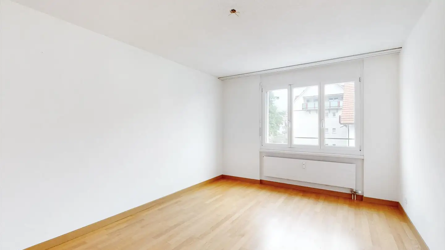 Appartamento in affitto - Sandbuckweg 1, 8157 Dielsdorf - Photo 3