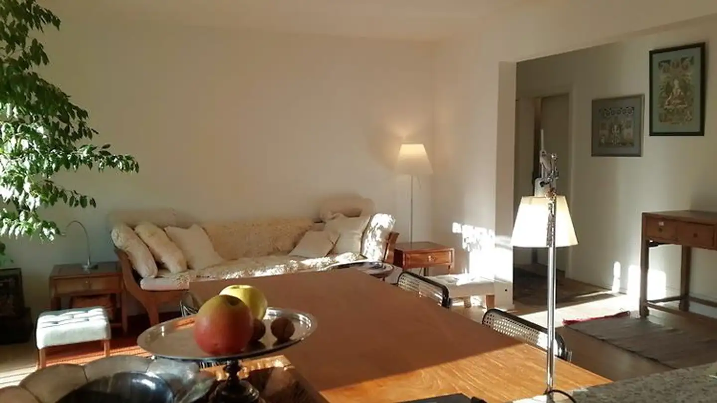Furnished apartment for rent - 4056 Basel - Photo 2