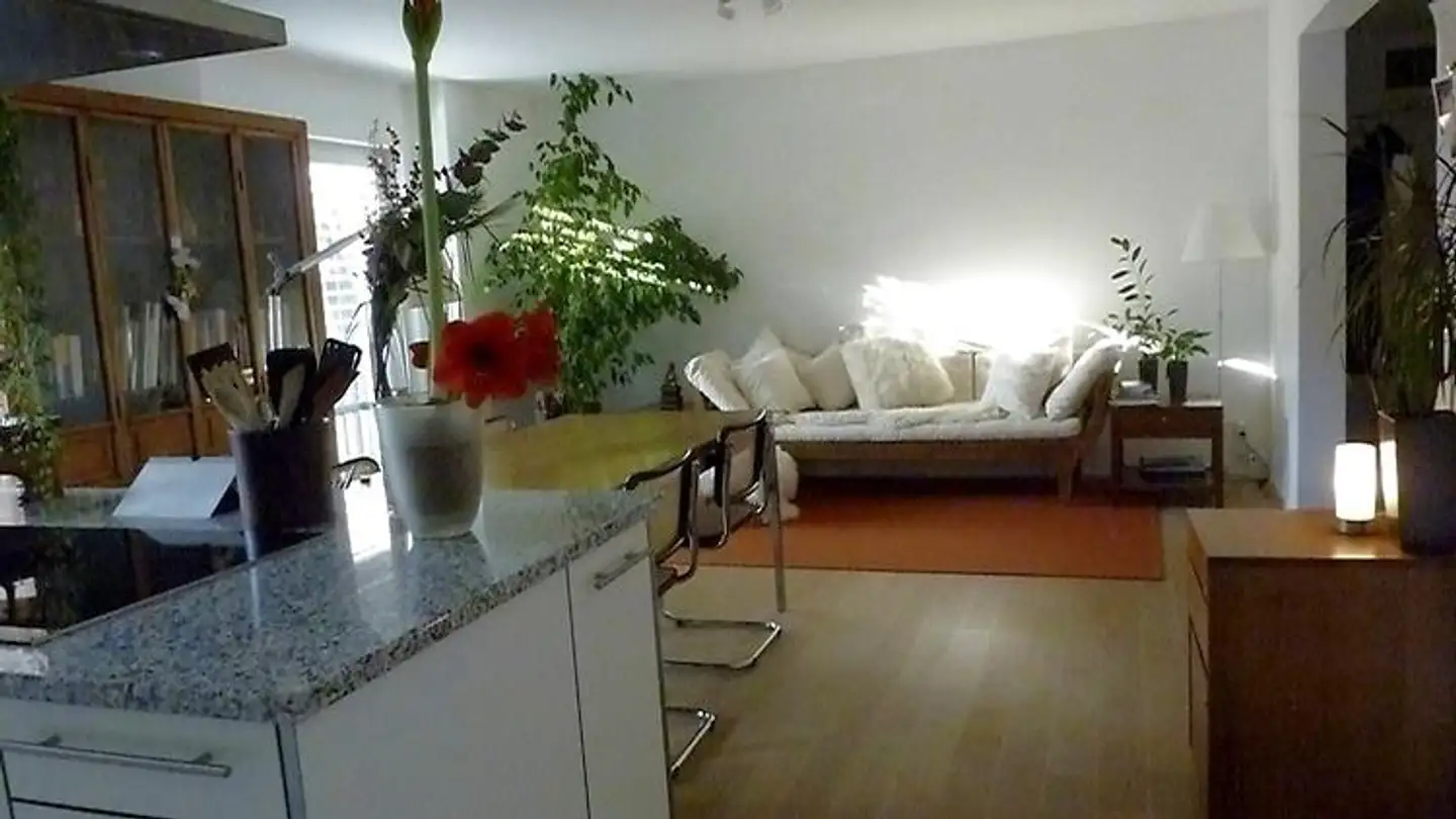 Furnished apartment for rent - 4056 Basel - Photo 4