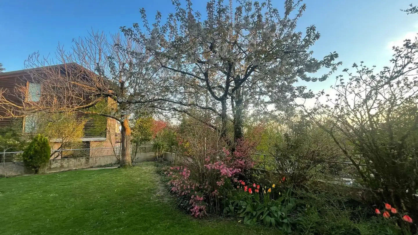 Single room for rent - 1010 Lausanne