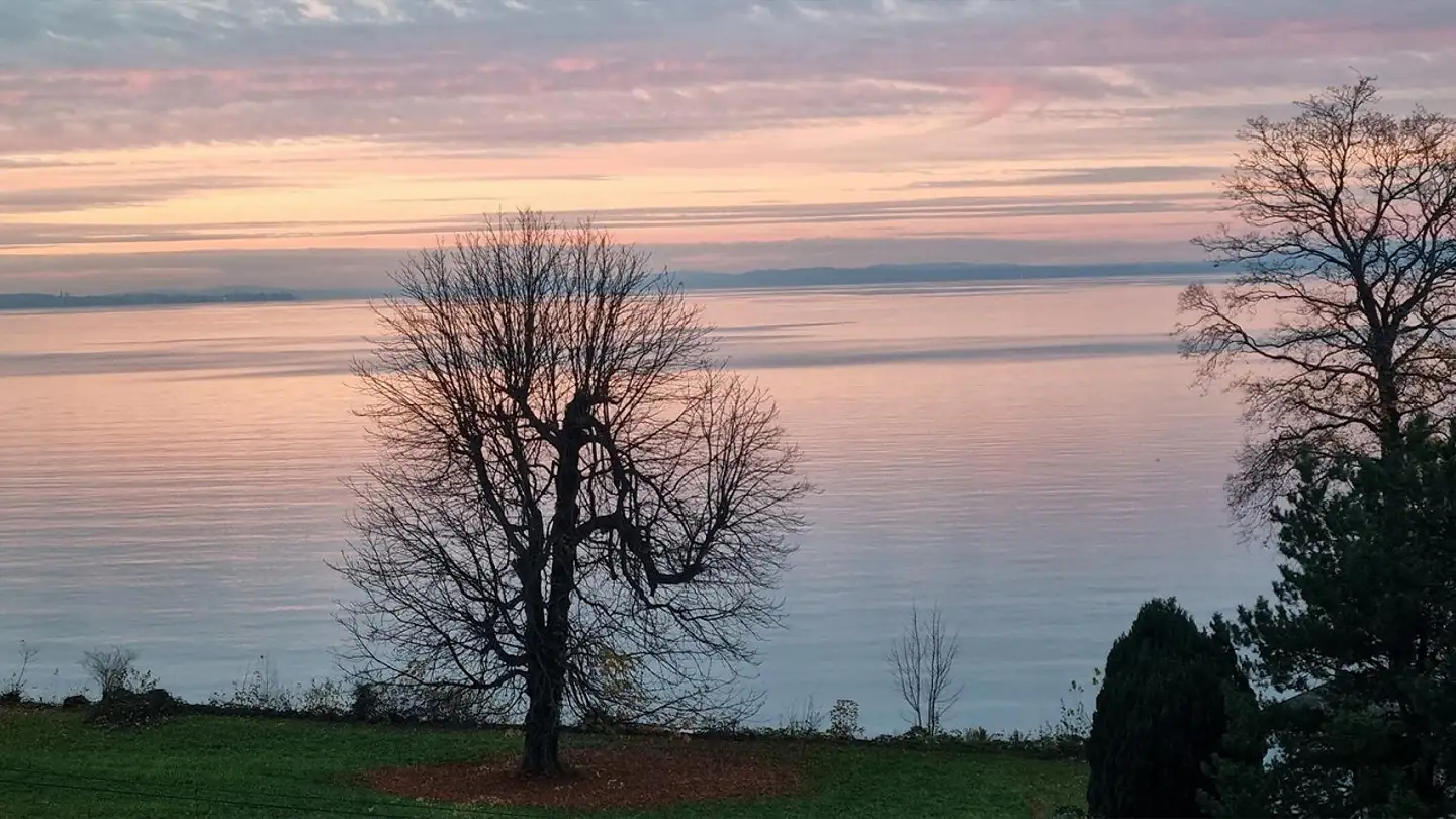Wohnung kaufen - Seebleichestrasse 68, 9404 Rorschacherberg - Foto 2
