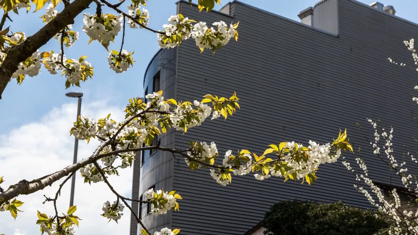 Office space for rent - Rotterdam-Strasse 21, 4053 Basel