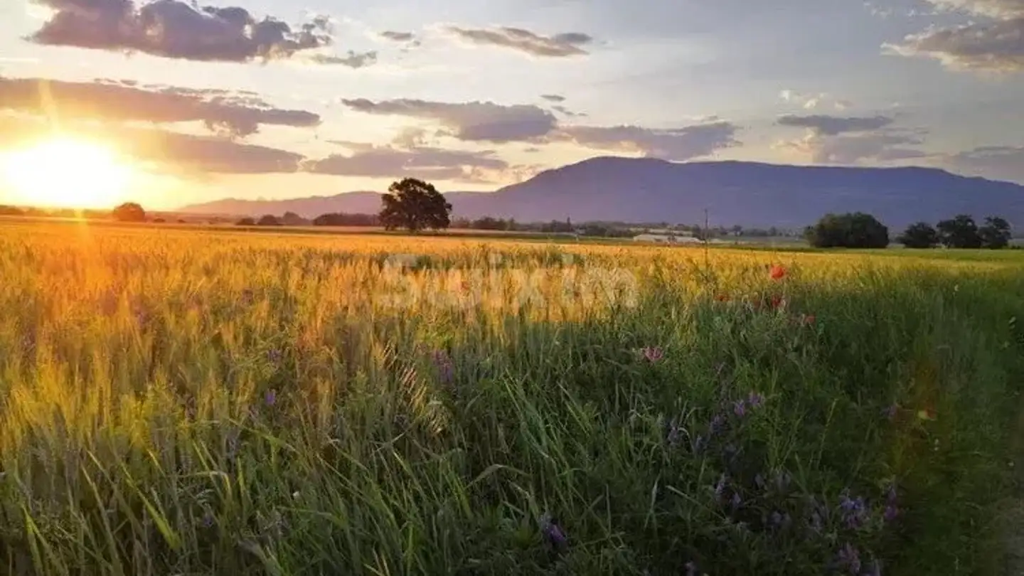 Höhlenhaus kaufen - 1245 Collonge-Bellerive