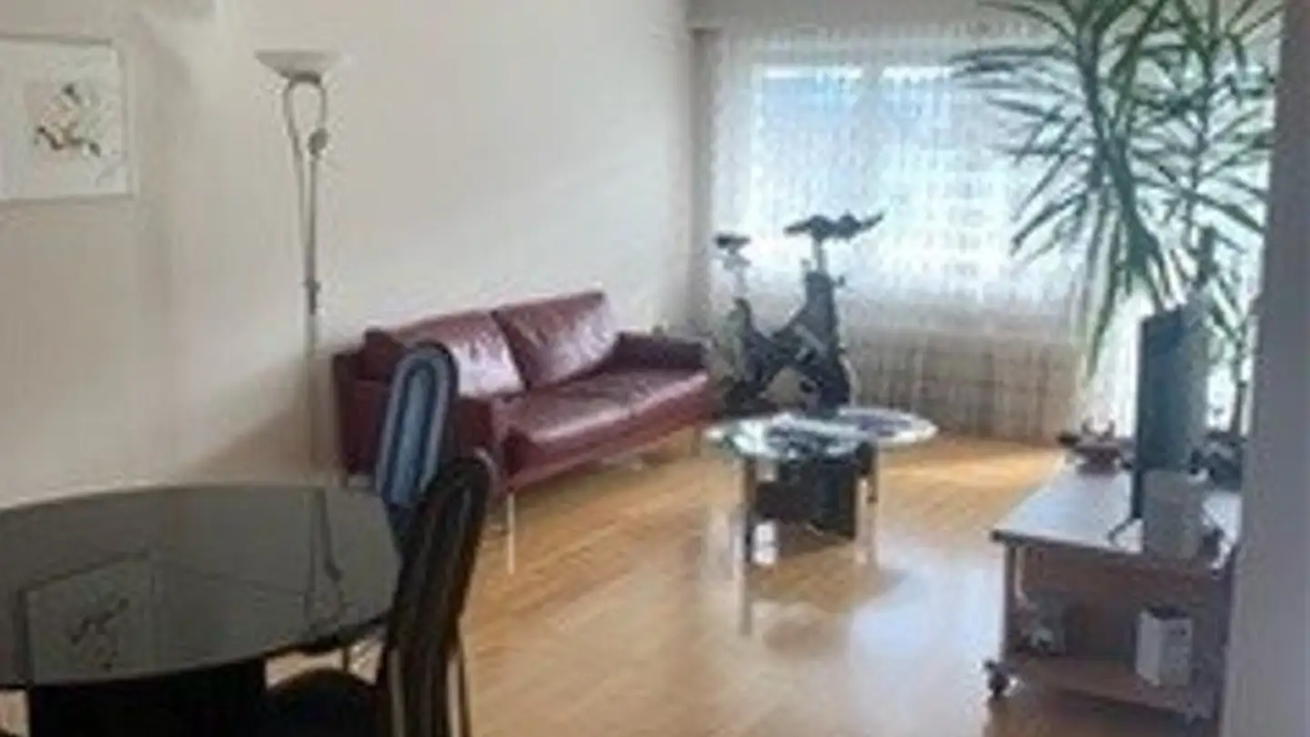 Appartement à louer - Birkenweg 30, 3123 Belp - Photo 2