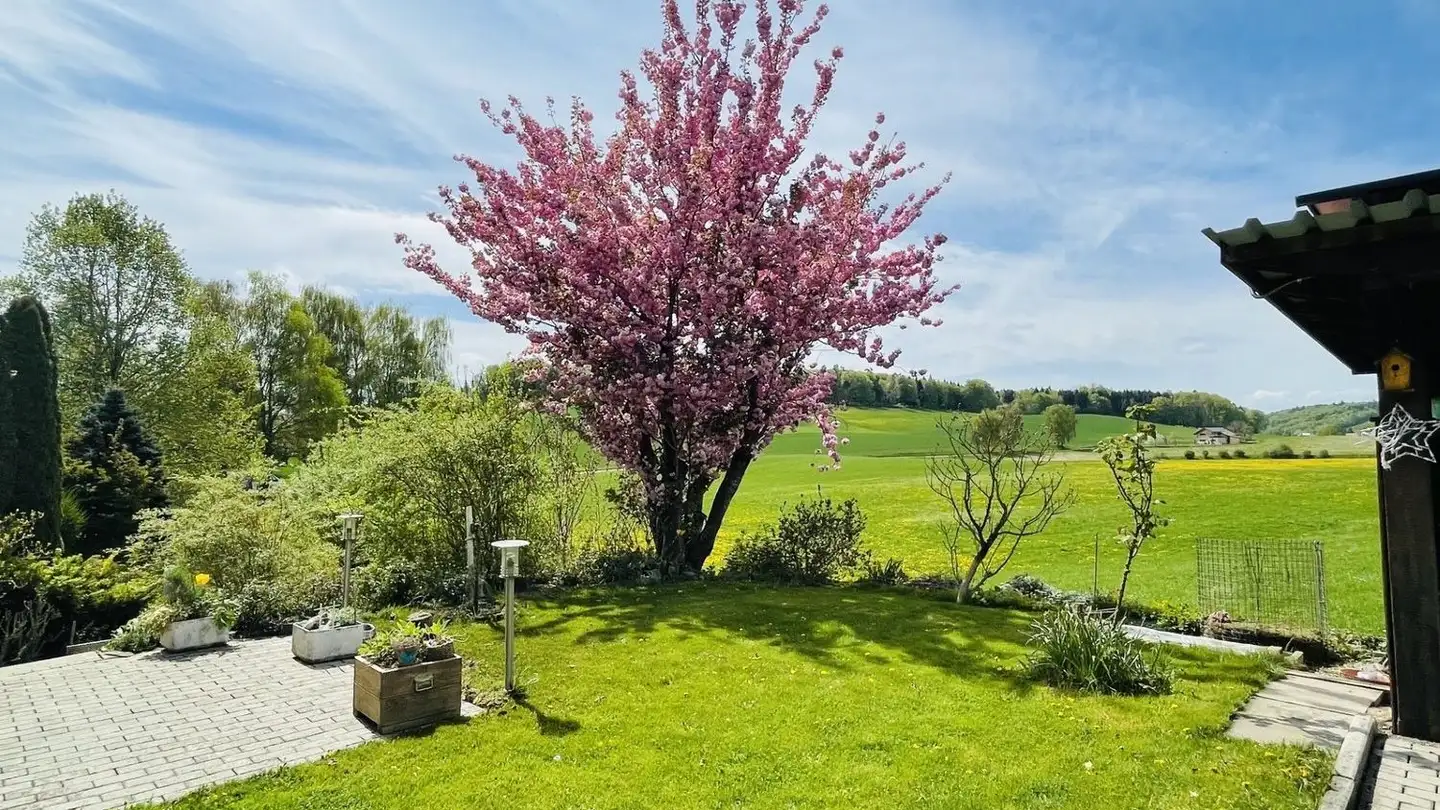 Doppelhaushälfte mieten - Berg 89, 3185 Schmitten FR