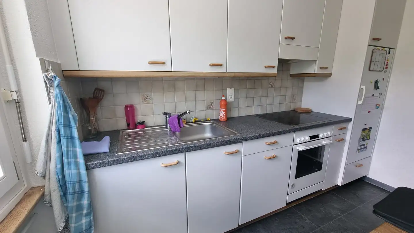 Appartamento in affitto - Freiburgstrasse 429, 3018 Bern - Foto 3