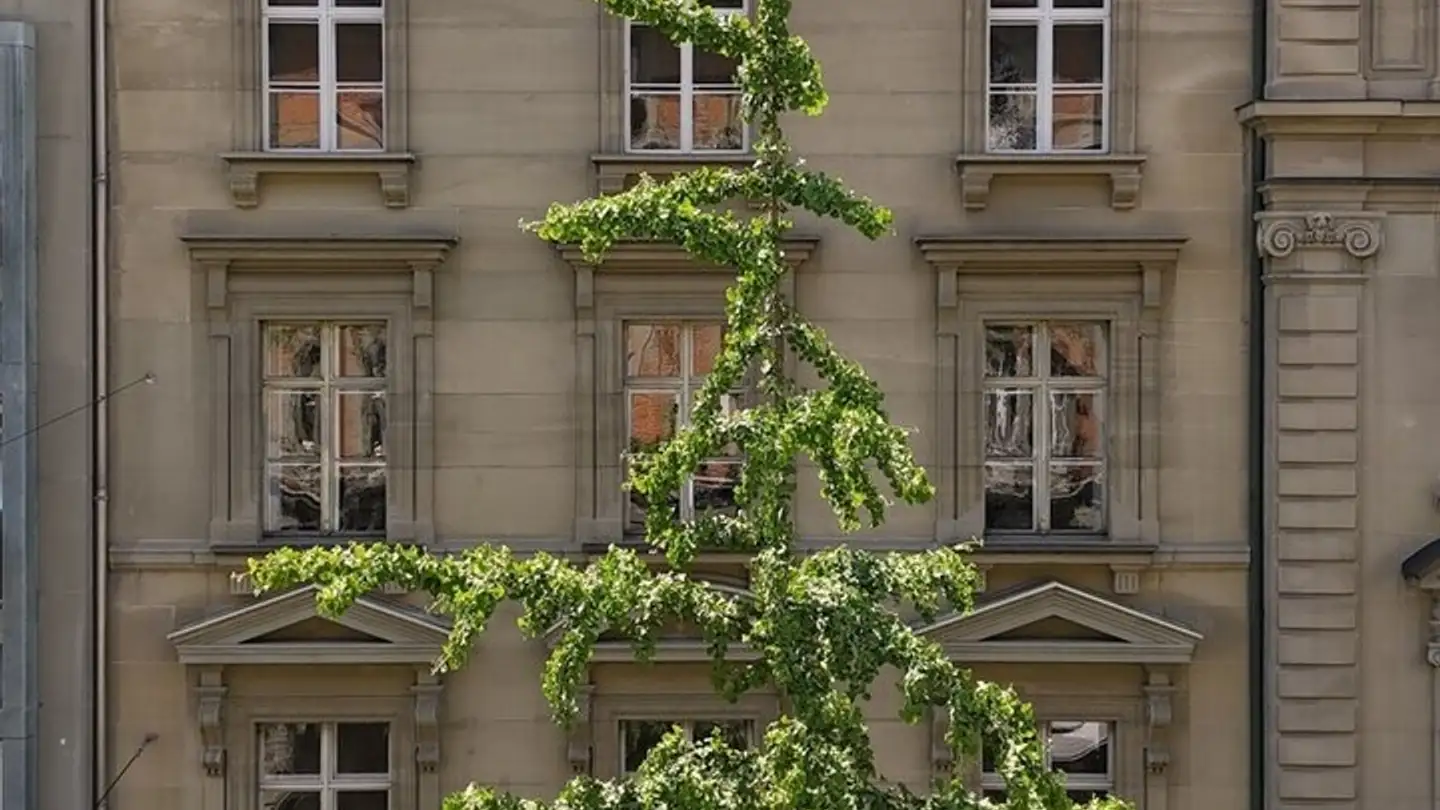 Commerciale in affitto - Schwanengasse 8, 3011 Bern - Photo 2