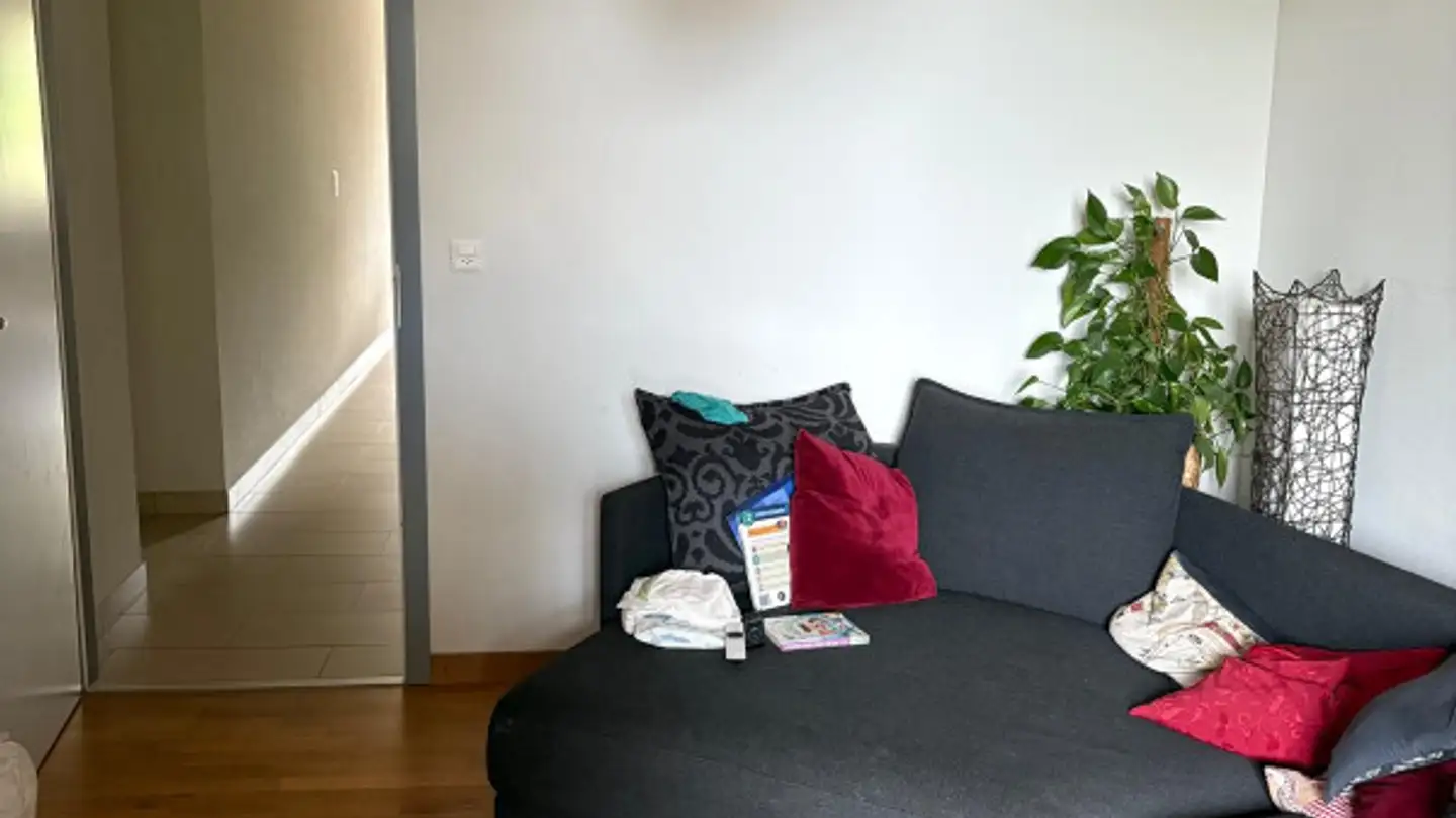 Casa singola in affitto - Chemin De La Haute-Belotte 20, 1223 Cologny - Photo 3