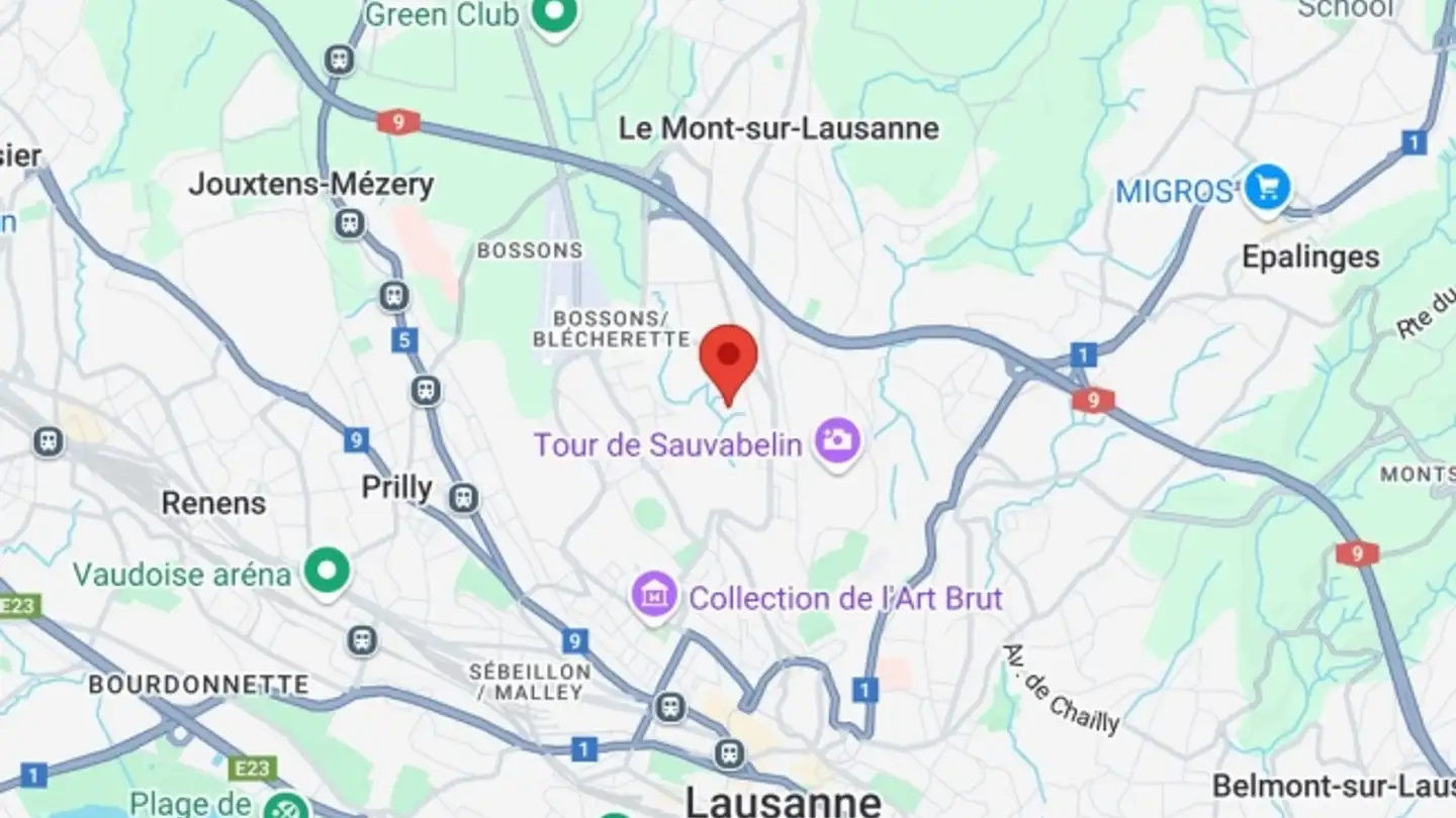 Spazio ufficio in affitto - Chemin D'entre-Bois 29a, 1018 Lausanne - Foto 3