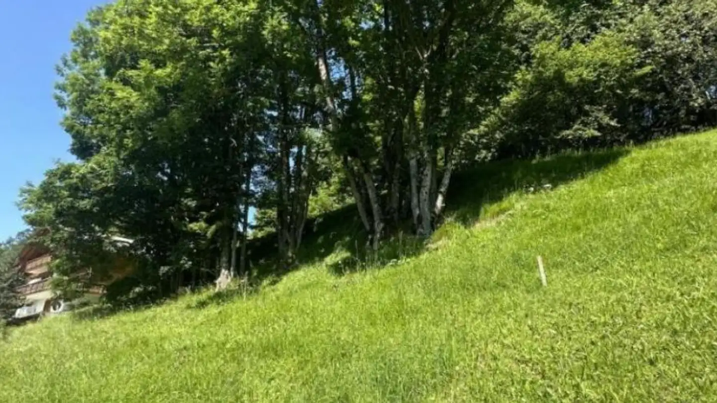 Constructible plot for sale - 1885 Chesières - Photo 3