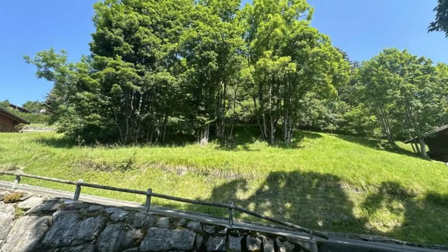 Constructible plot for sale - 1885 Chesières - Photo 4