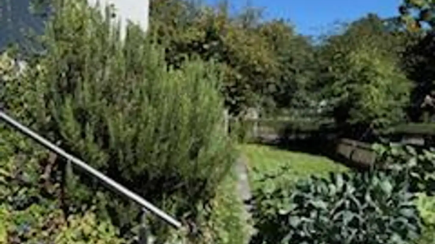 Casa singola in vendita - Unnothstrasse 18, 9430 St. Margrethen SG - Photo 3