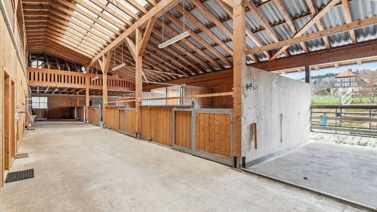 Riding hall for sale - Dorfstrasse 50, 3365 Seeberg - Photo 3