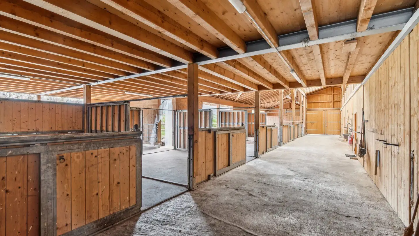 Riding hall for sale - Dorfstrasse 50, 3365 Seeberg - Photo 2