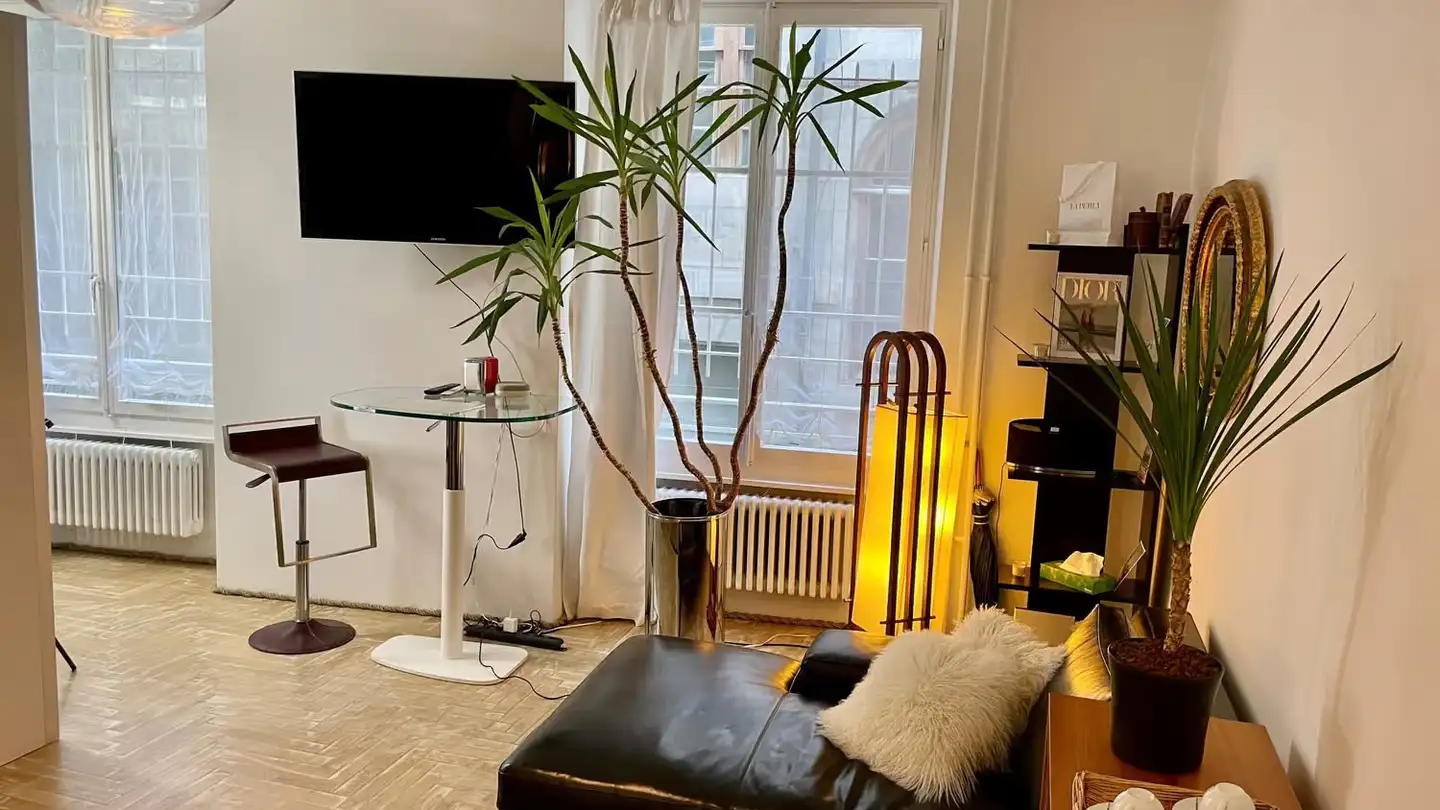 Apartment for rent - Grand-Rue 14, 1204 Genève