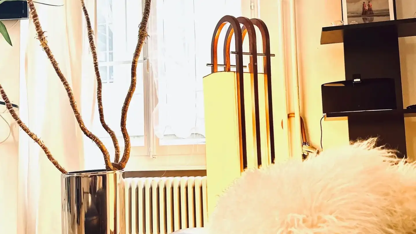 Apartment for rent - Grand-Rue 14, 1204 Genève - Photo 3