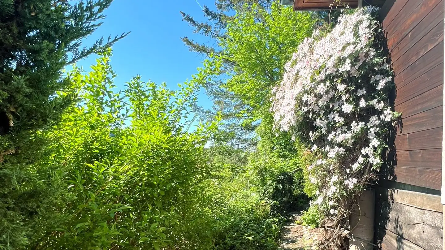 Casa singola in vendita - Aeplistrasse 15, 5018 Erlinsbach - Photo 3