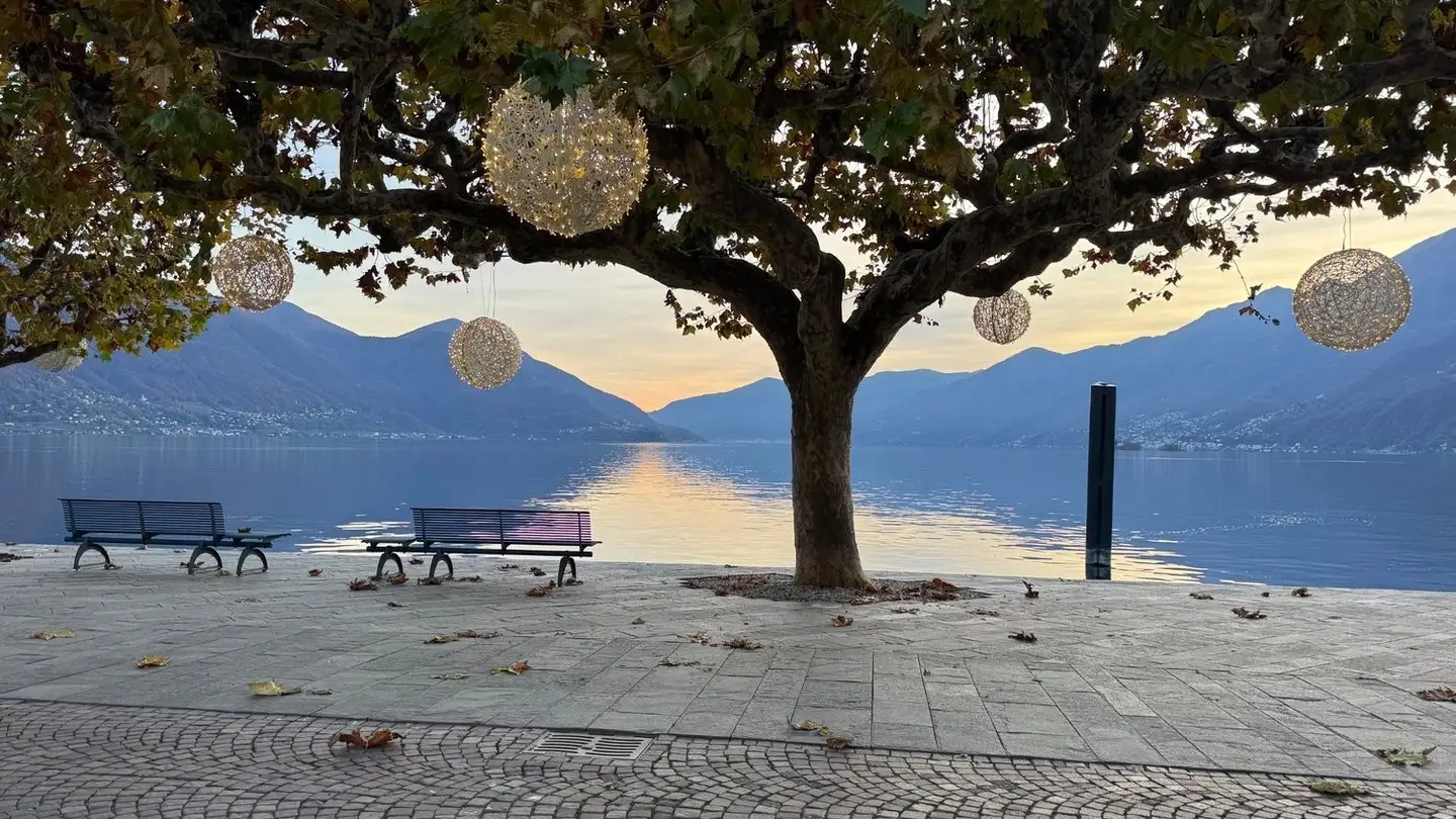 Appartamento in affitto - 6616 Losone - Photo 2