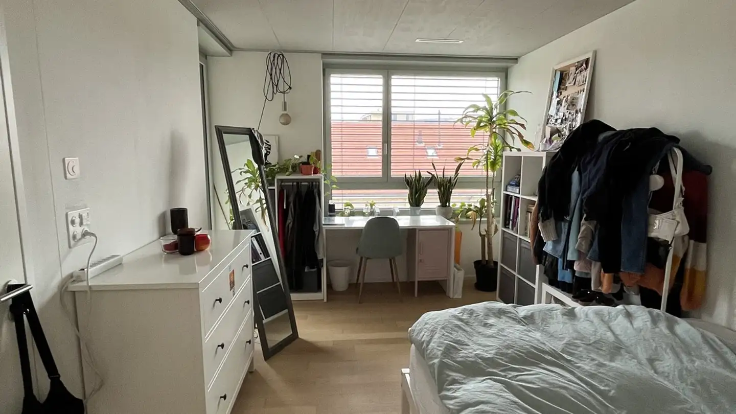 Appartamento ammobiliato in affitto - Zwirnereistrasse 5, 8304 Wallisellen