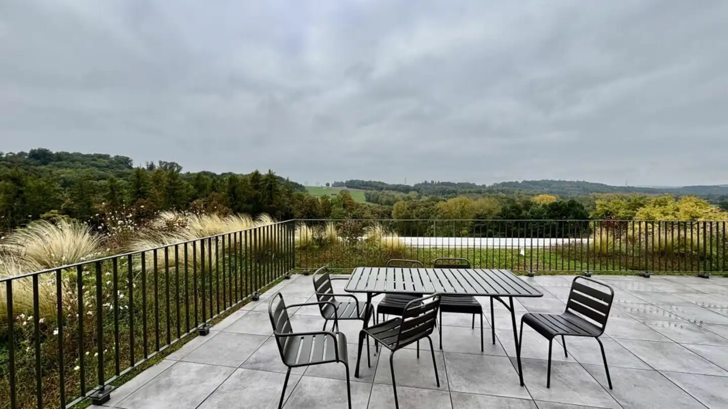 Workshop for rent - Chemin De Mochettaz, 1030 Bussigny