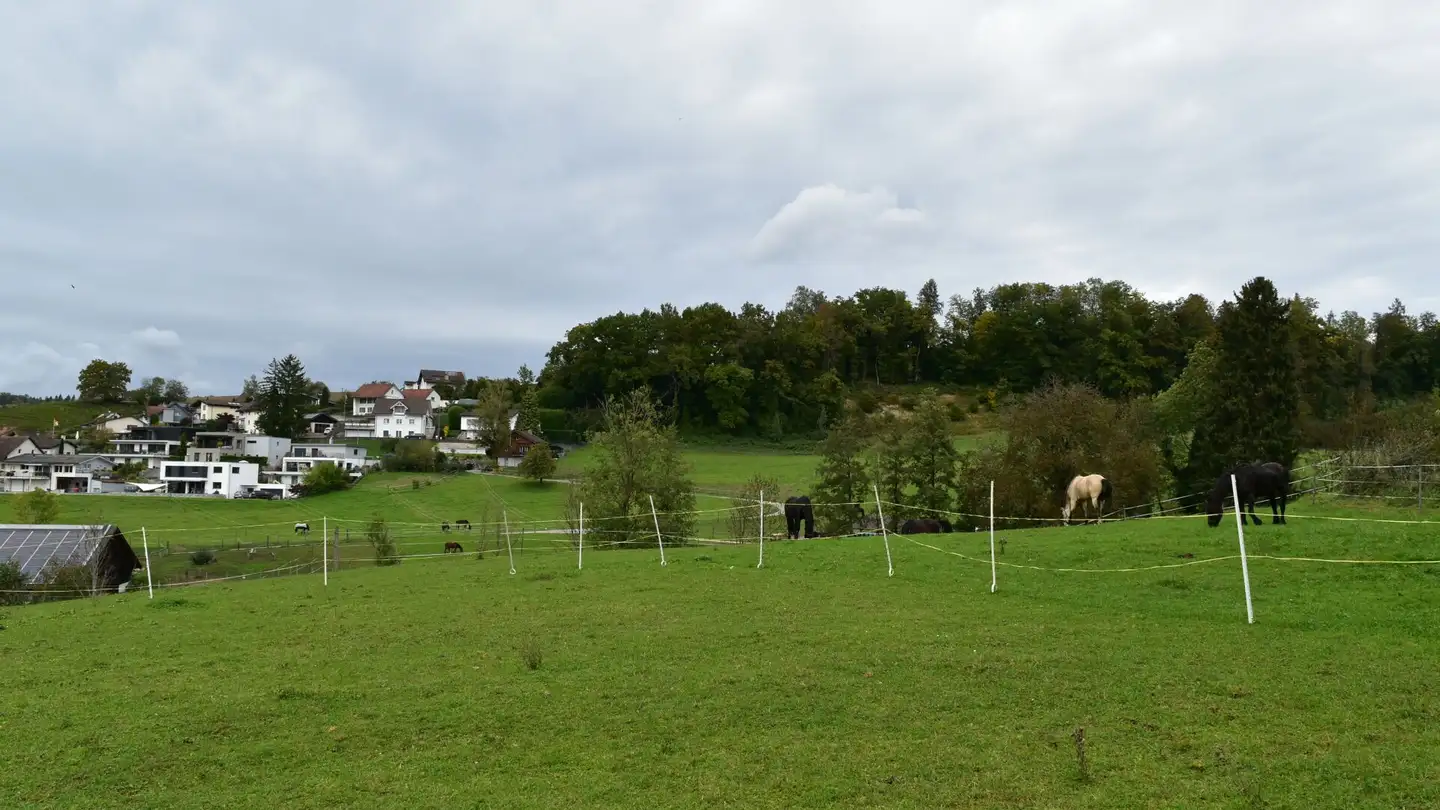 Terrain constructible à vendre - Schützenhausweg, 5426 Lengnau AG