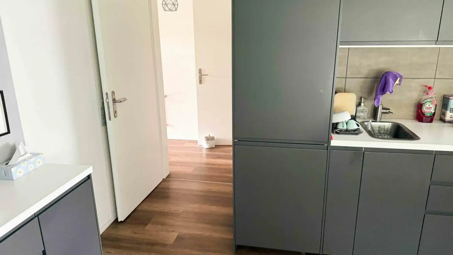 Appartamento in affitto - Unterdorf, 6286 Altwis - Foto 2