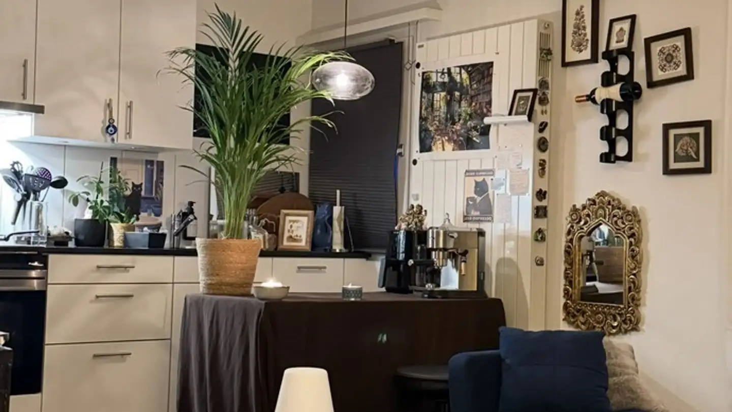 Appartement à louer - 8046 Zürich