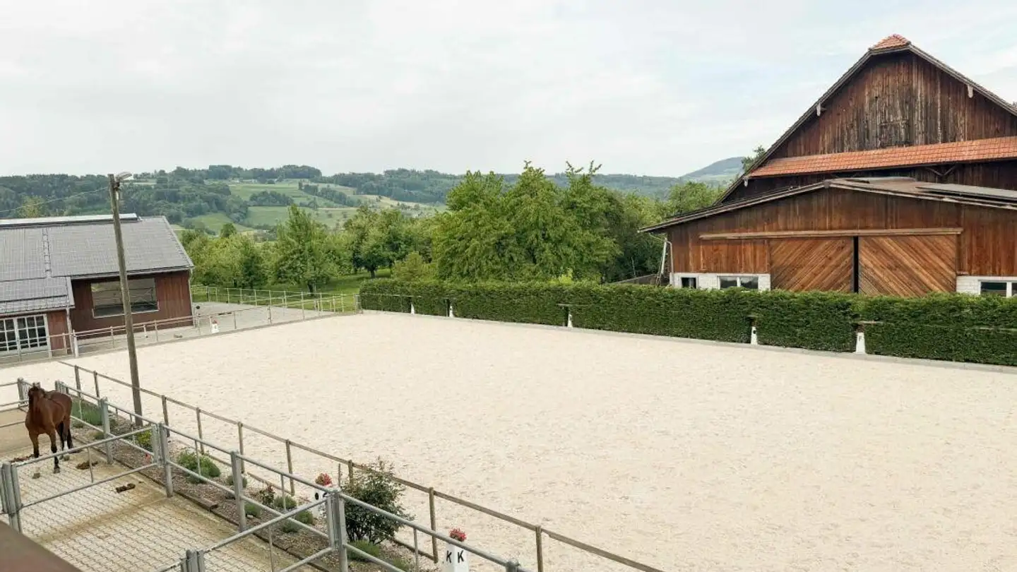 Appartamento in affitto - Unterdorf, 6286 Altwis - Foto 3